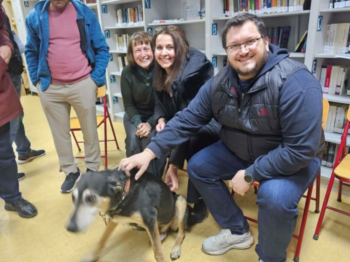 Ο Δήμος σε δύο «τετράποδες» δράσεις