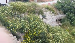 o-dromos-stou-papikinou-Αdamanta-1