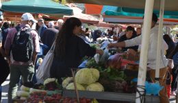 o-ellinas…-para-tis-diskolies-2