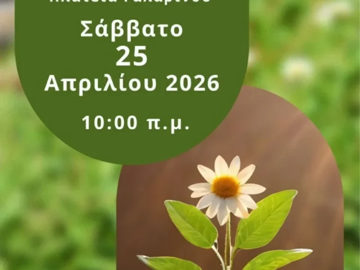 Ο Γαλαρινός «ανθίζει»: Ραντεβού εθελοντισμού και ομορφιάς στην κεντρική πλατεία