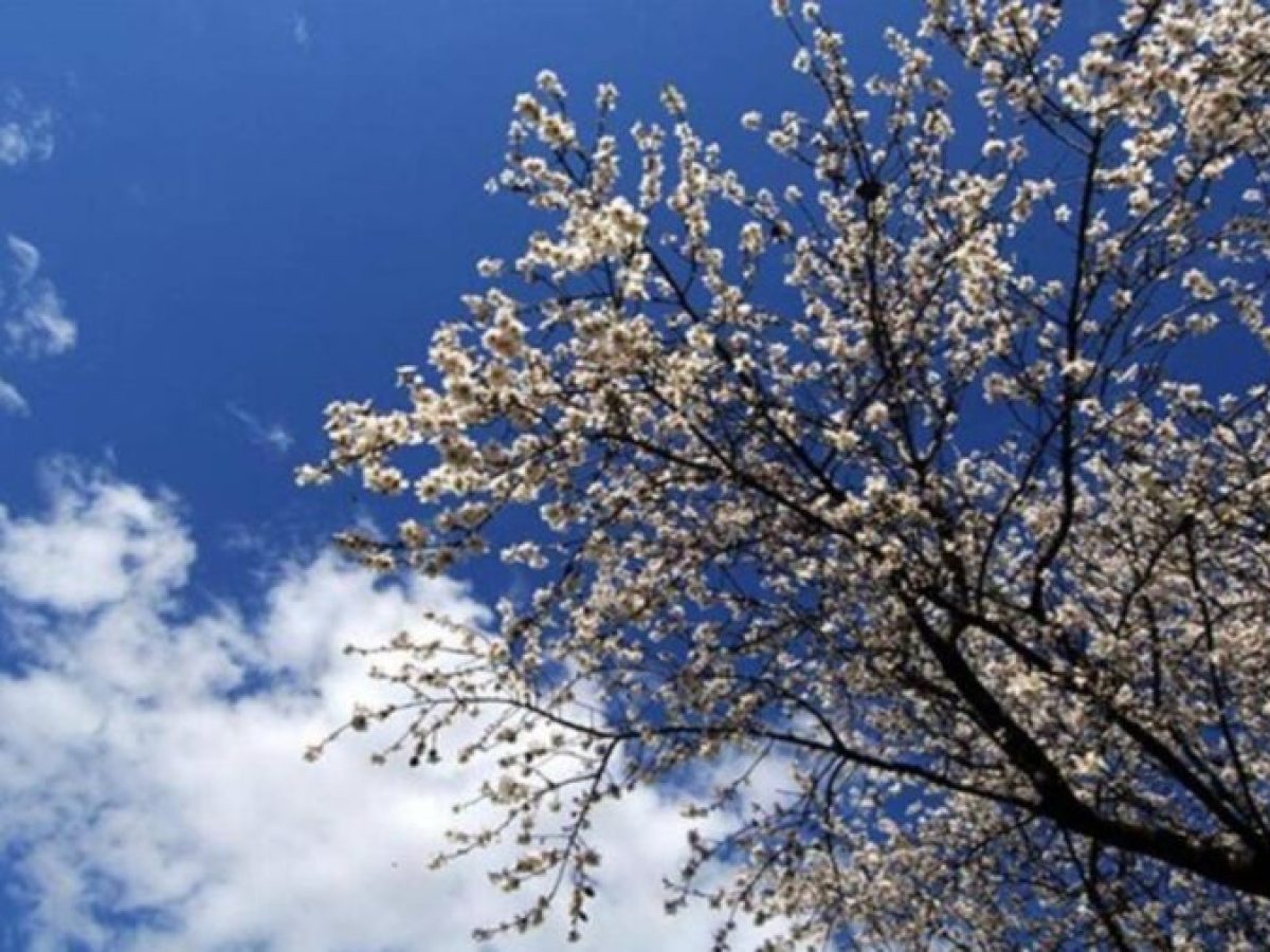 Ο καιρός σήμερα στη Θράκη – Πού θα βρέξει