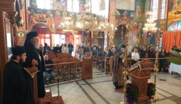 o-mitropolitis-chalkidos-chrisostomos-stin