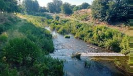 o-Αgiamoniotis-ginete-defteros-litheos