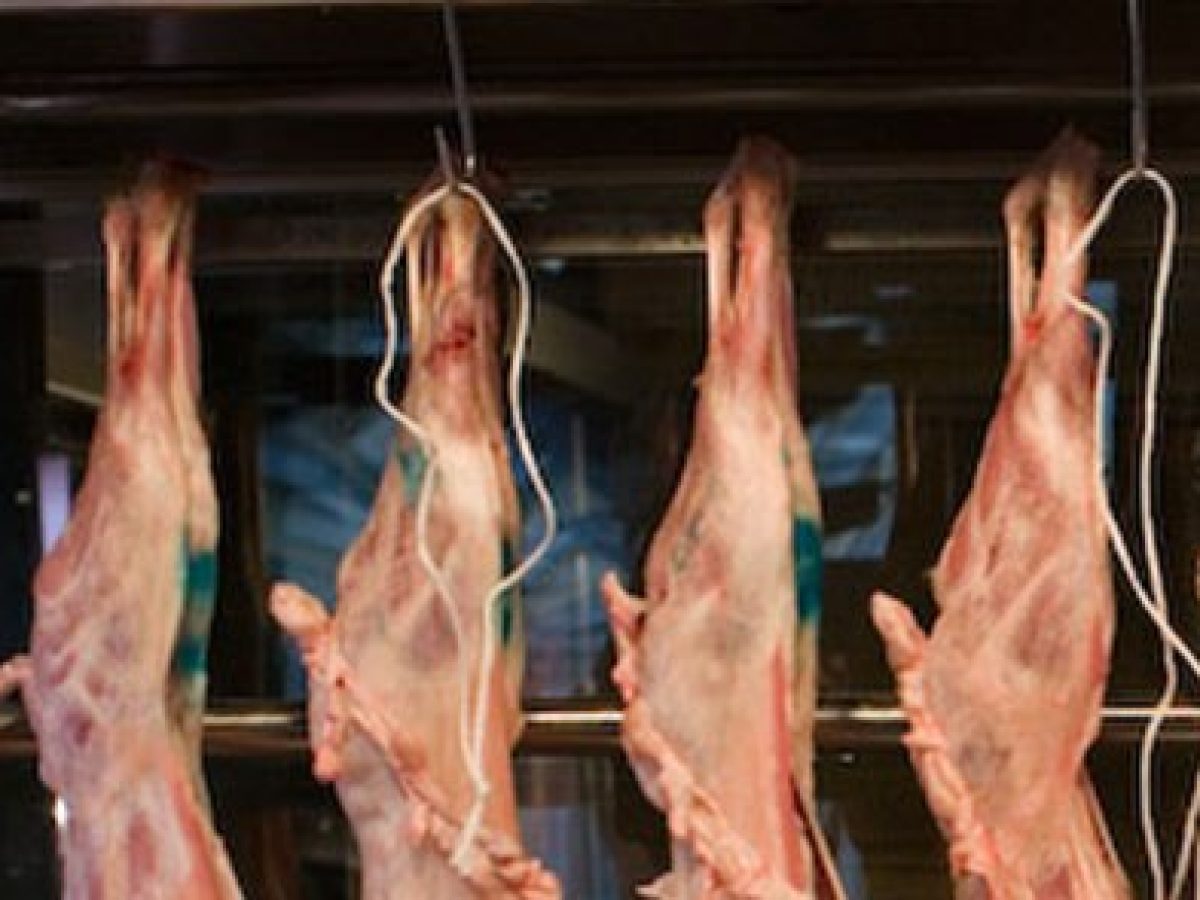 Οδηγίες για την αγορά κρέατος και αυγών τις ημέρες του Πάσχα Από τη Δ/νση Κτηνιατρικής της Περιφέρειας ΑΜΘ