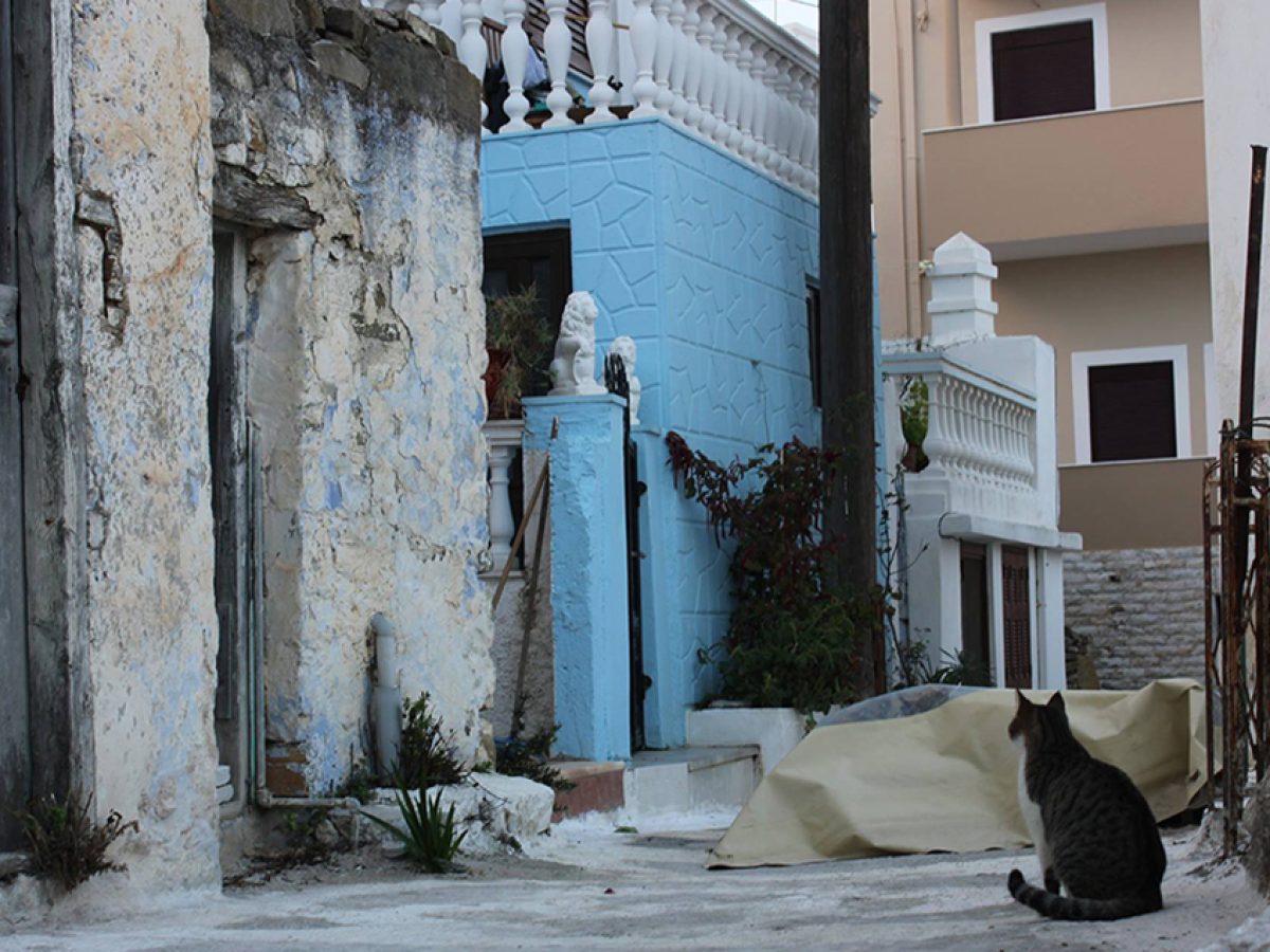 Ολοκληρώθηκε η συμμετοχή του Δήμου Καρπάθου  στο  πρόγραμμα εκπαίδευσης Zero Stray Academy