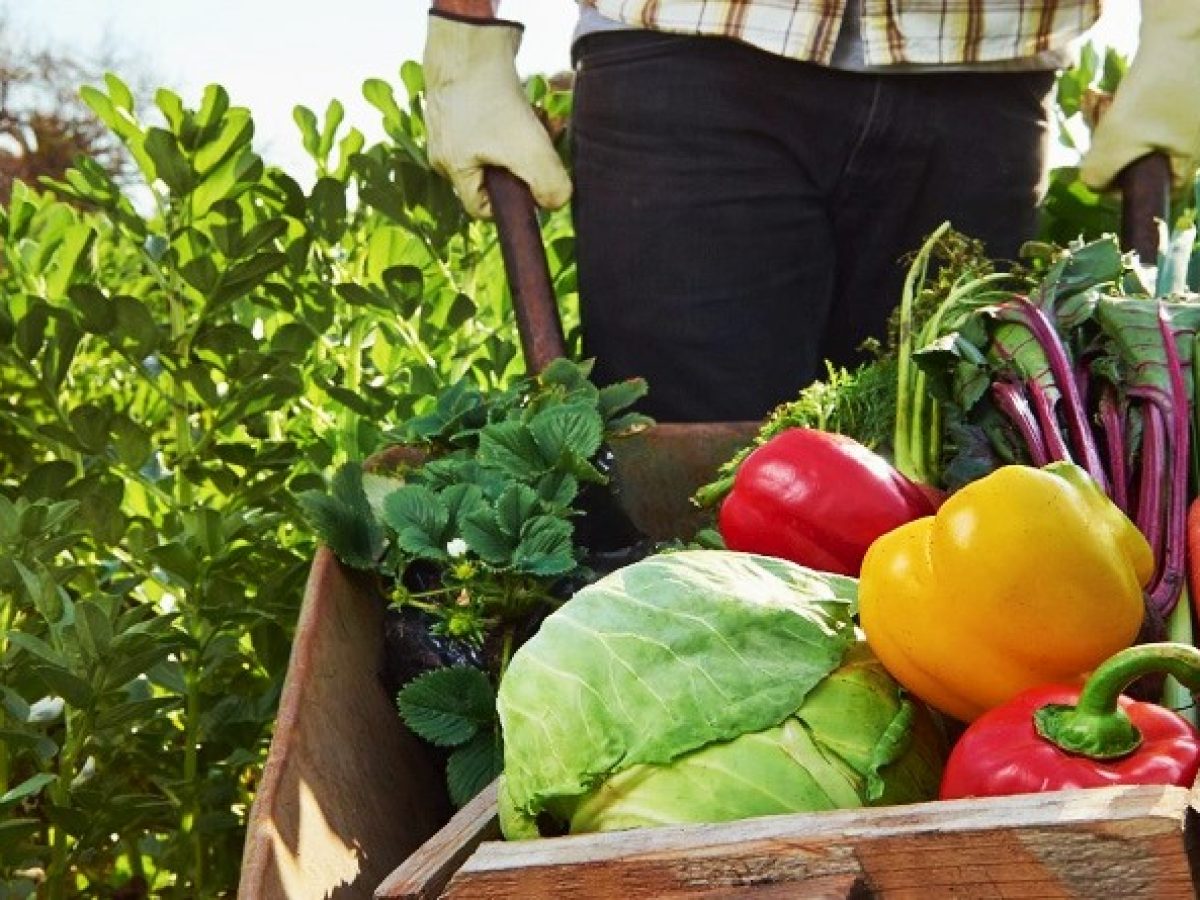 Όλος ο πλανήτης στα «γεμιστά» μας…