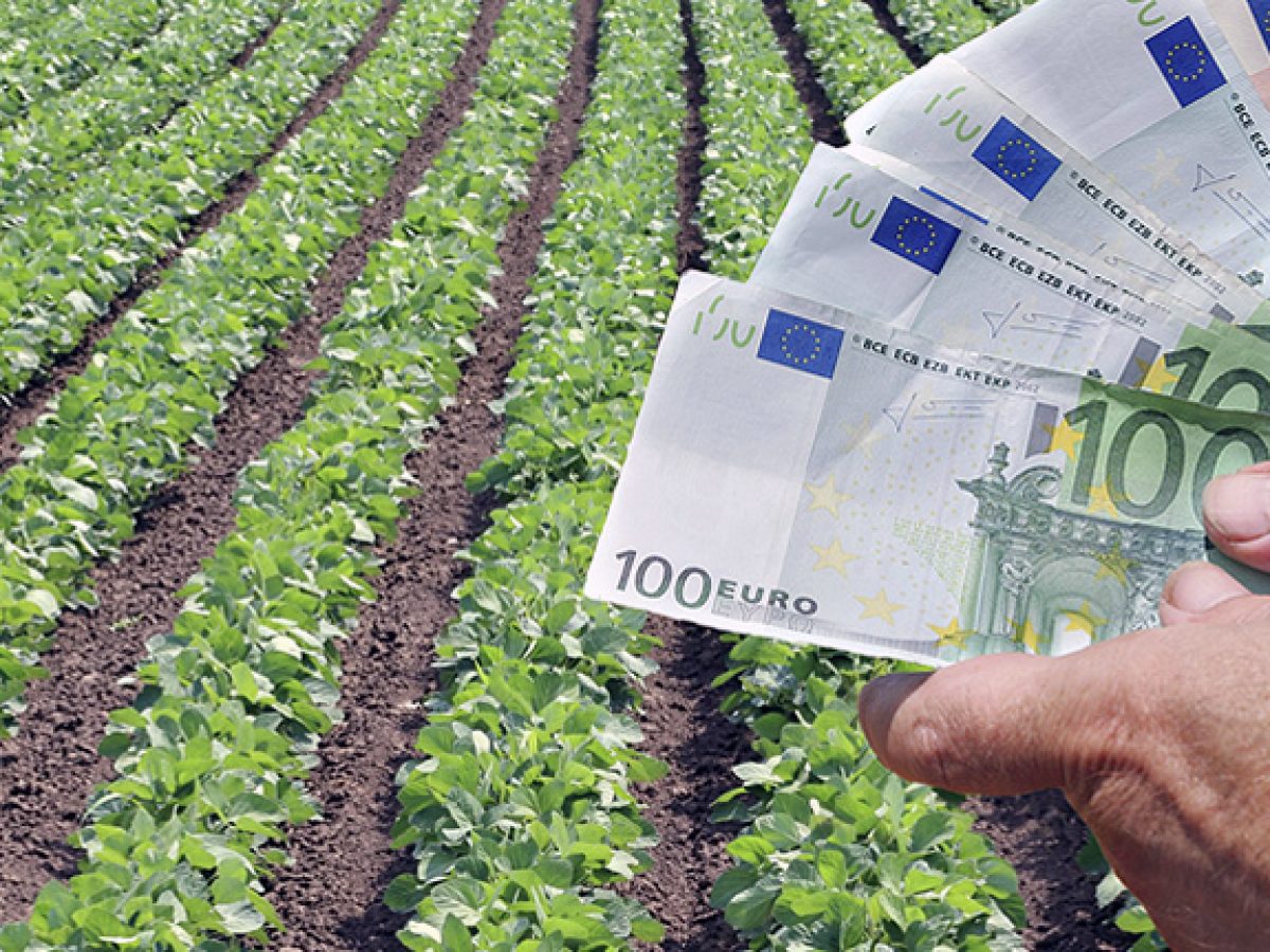 ΟΠΕΚΕΠΕ: Ζητείται άρση ασυλίας για 11 βουλευτές της ΝΔ, έως αύριο γνωστά τα ονόματα