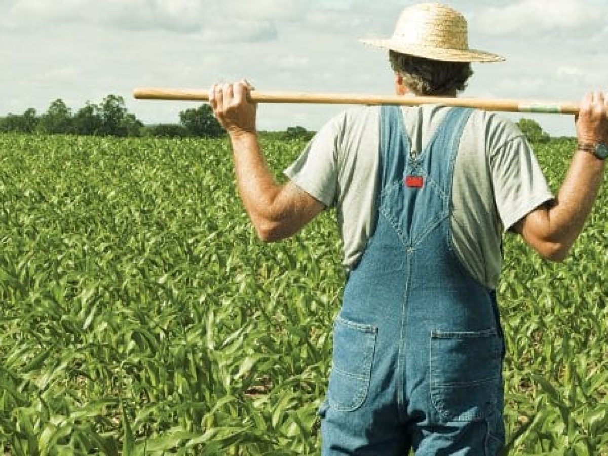 Οργάνωση και αγώνας: Κάλεσμα σε όλους τους αγρότες του Ευρώτα