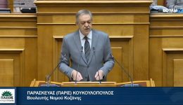 p.-koukoulopoulos-stin-olomelia-i