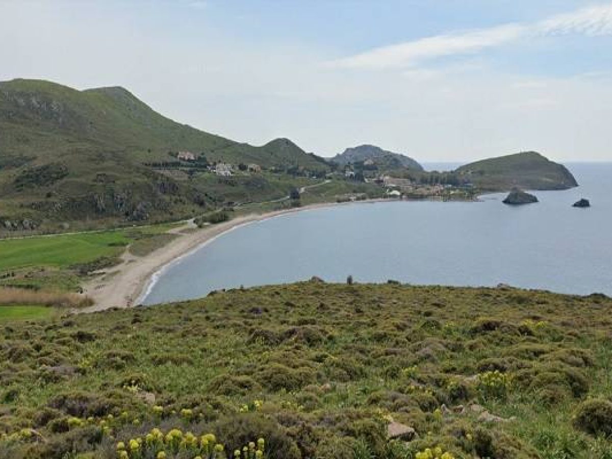 Π.Ε. Λήμνου: Επαναληπτική Δημοπρασία για την Απλή Χρήση Αιγιαλού σε Αυλώνα και Άγιο Γεώργιο