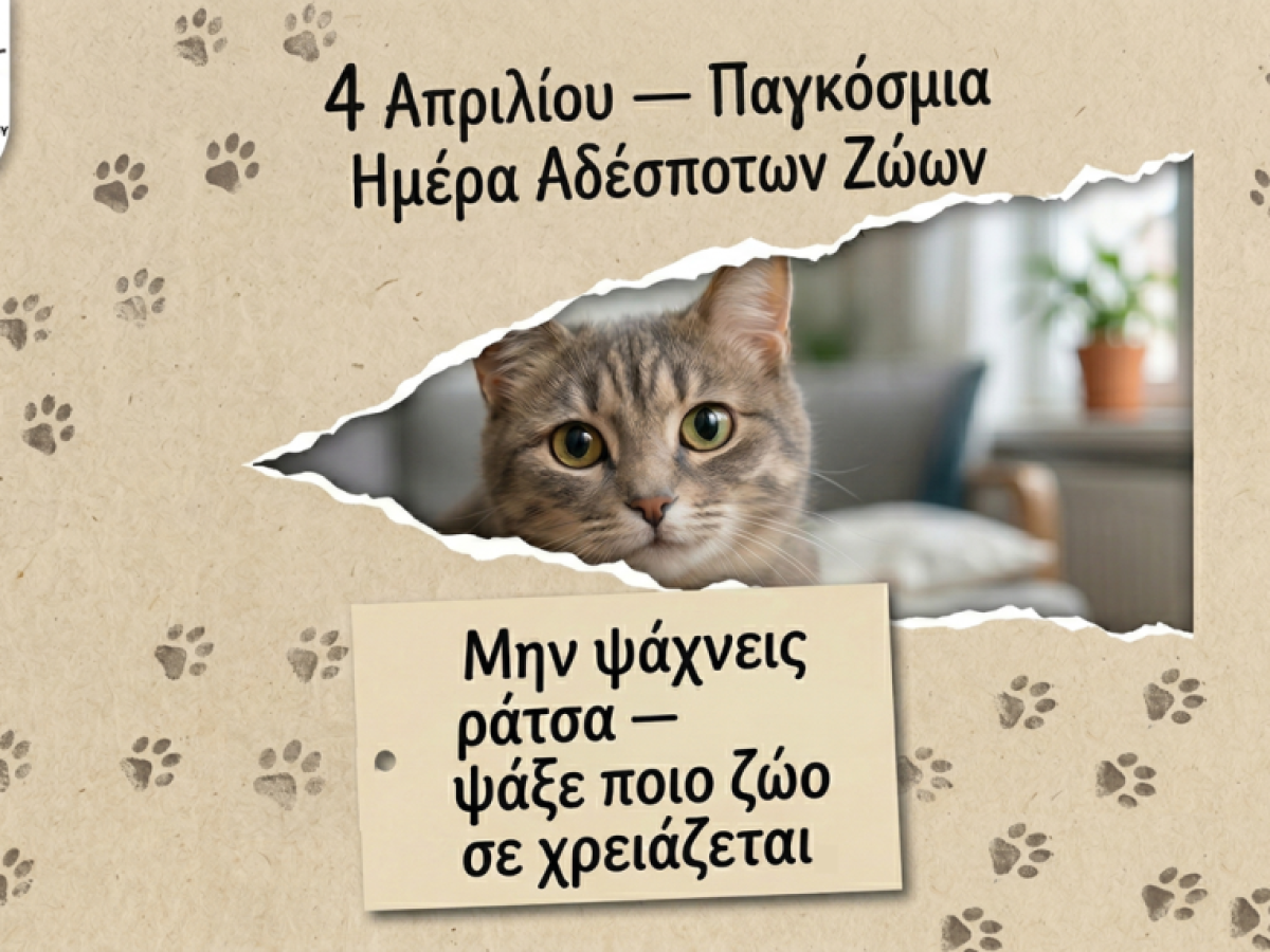 Παγκόσμια Ημέρα Αδέσποτων Ζώων