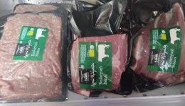 pandesia-pikermiou-otan-to-moscharisio