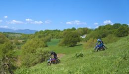 panellinio-protathlima-ke-panellinio-kipello