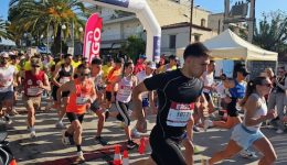 pano-apo-800-dromis-sto