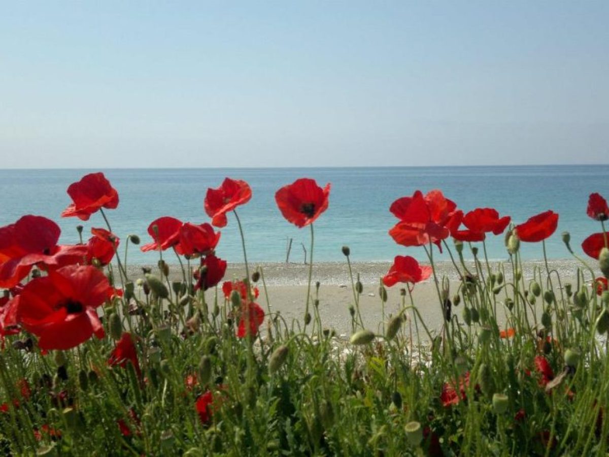 Παραλία Γιαλός