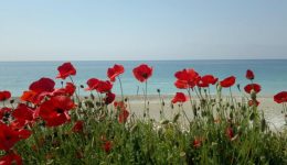 paralia-gialos