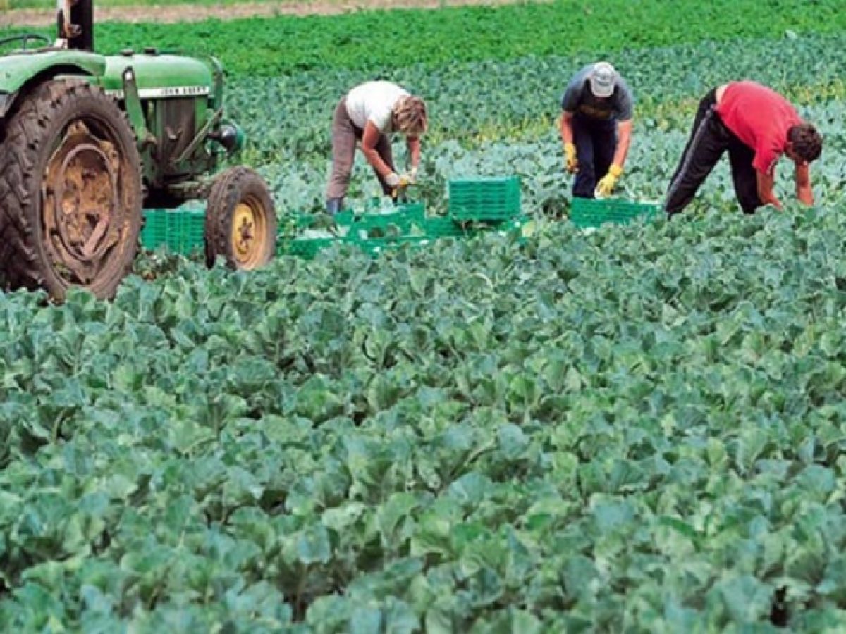 Παράταση προθεσμίας διαμονής για εργάτες γης έως τις 30 Ιουνίου 2026