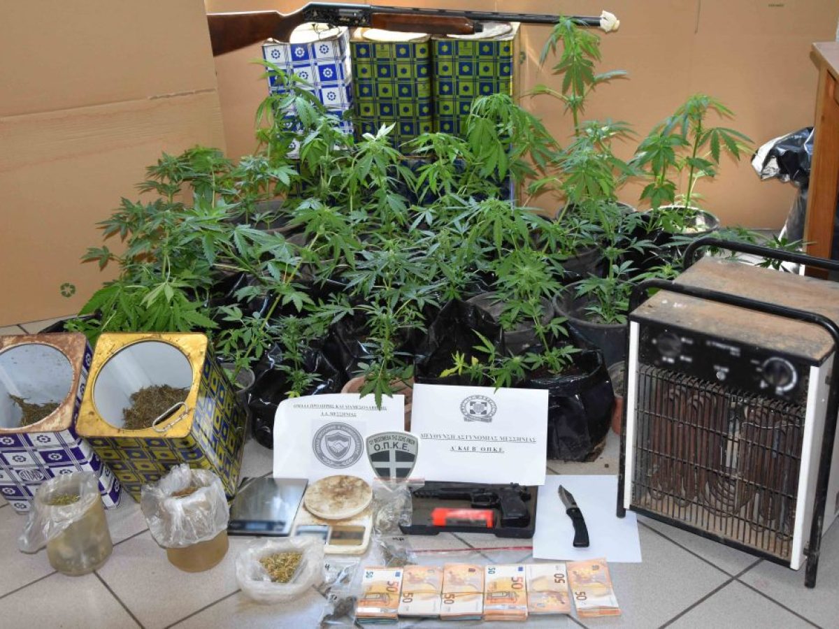 Πατέρας και γιος καλλιεργούσαν κάνναβη στην περιοχή των Φιλιατρών