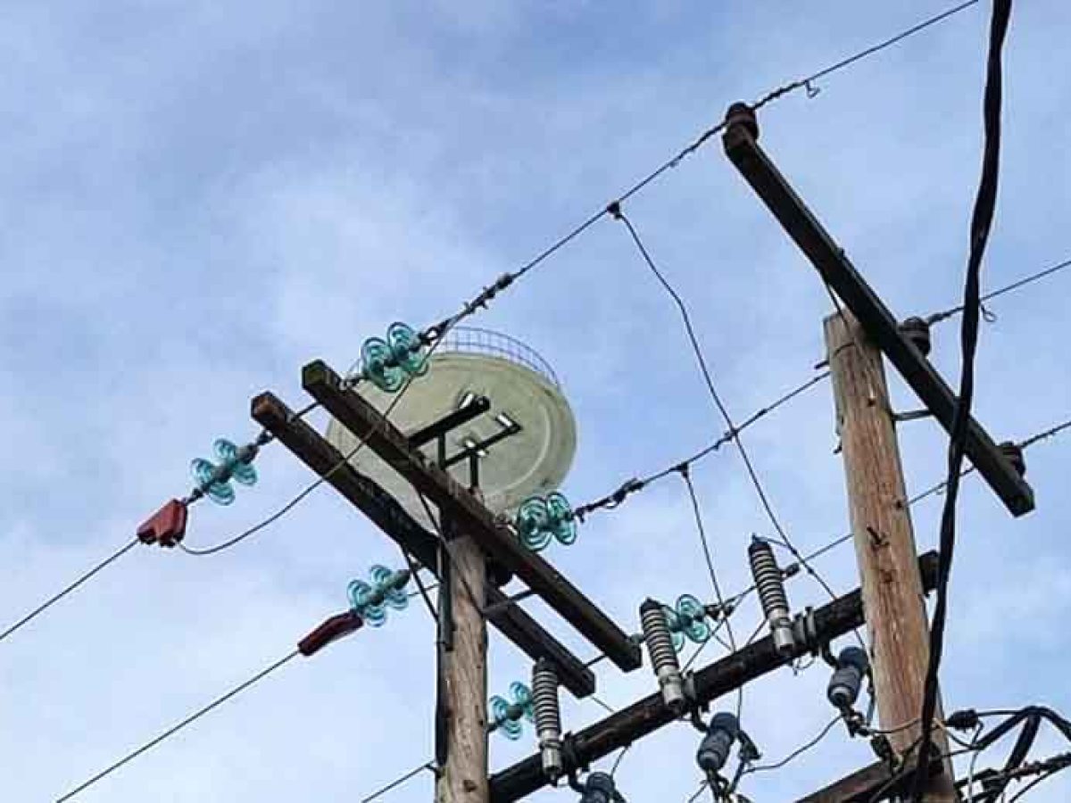 Πέπλος Έβρου : Τεχνητή φωλιά «ασπίδα ζωής» για τους πελαργούς μετά τον κίνδυνο ηλεκτροπληξίας