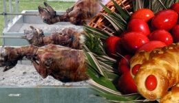 pies-ine-i-plirotites-sta