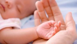 plithismiaki-katarrefsi-svinoun-i-gennisis