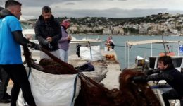 porto-rafti-drasi-tis-Aegean