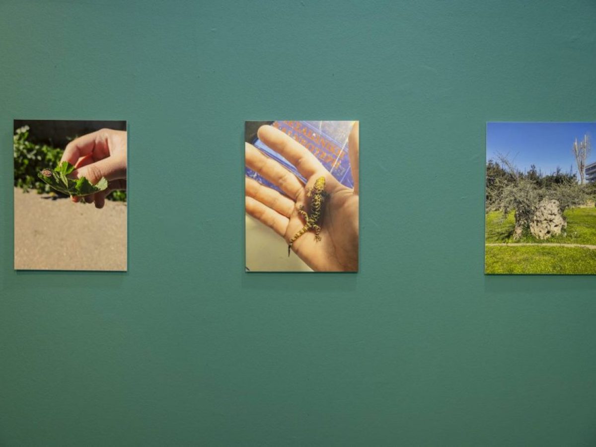 Πραγματοποιήθηκε στην Ολυμπιακή Πινακοθήκη «Σπύρος Λούης», η έκθεση φωτογραφίας των μαθητών του 1ου Πειραματικού Γυμνασίου Αμαρουσίου