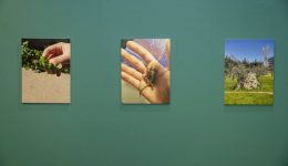 pragmatopiithike-stin-olimpiaki-pinakothiki-spiros