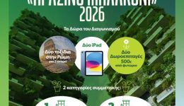 prasino-balkoni-mechri-tis-10