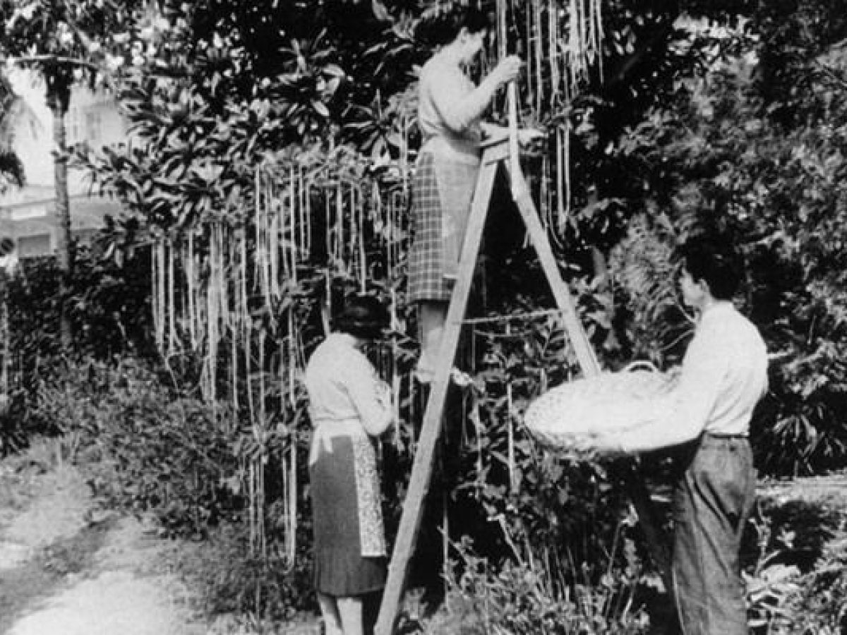 Πρωταπριλιά – Κάθε χρόνο την 1η Απριλίου αναβιώνει το έθιμο με τα αθώα ψέματα.