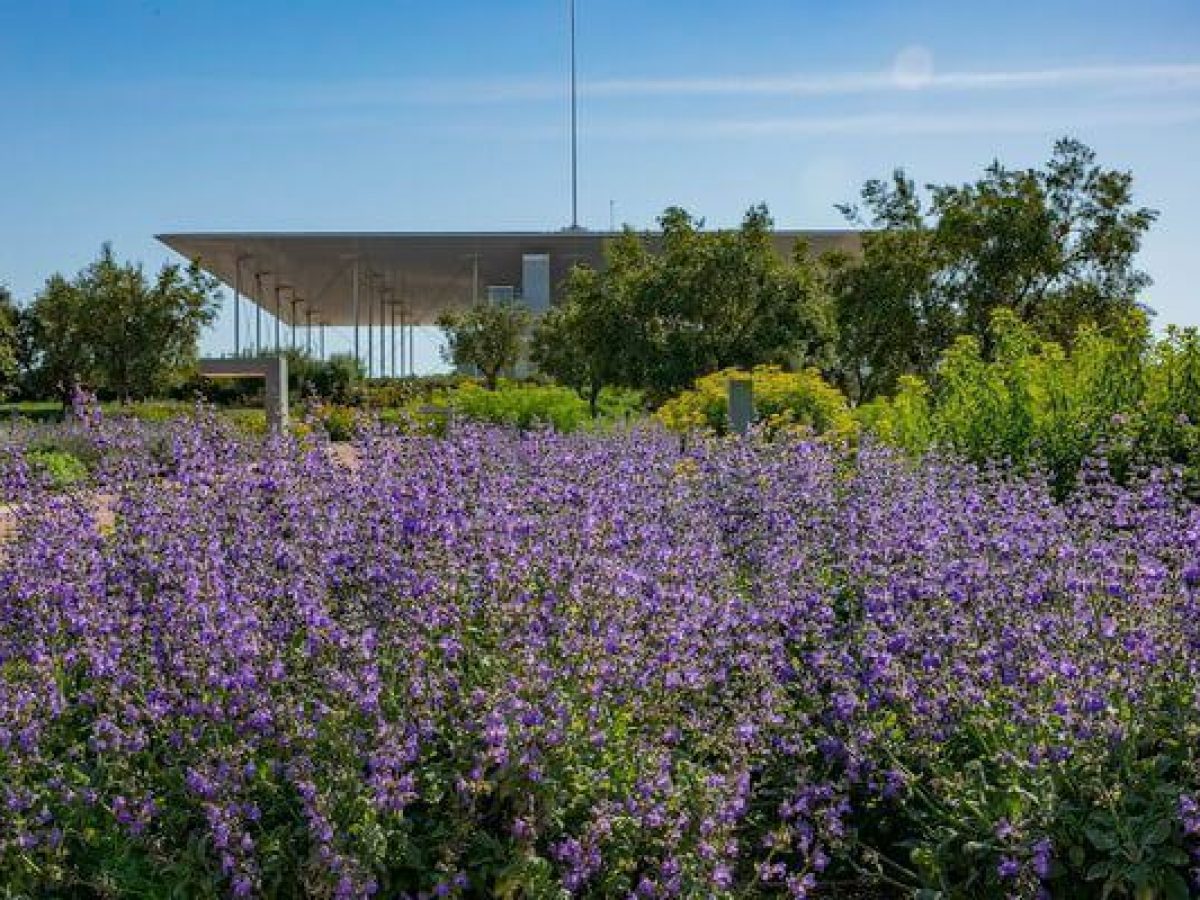 Πρωτομαγιά με τον Πασχάλη στο Πάρκο Σταύρος Νιάρχος
