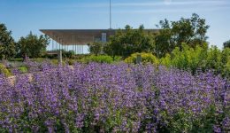 protomagia-me-ton-paschali-sto-parko