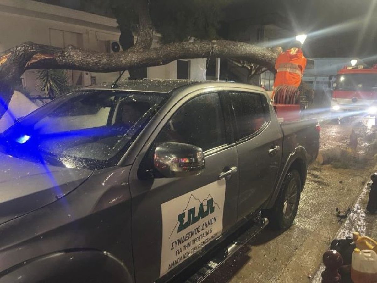 Πτώση δέντρου στα Σπάτα λόγω κακοκαιρίας – Άμεση κινητοποίηση των αρχών