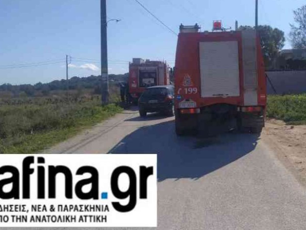 Ραφήνα: Άμεση επέμβαση της πυροσβεστικής για μικρή εστία φωτιάς στα Περιβολάκια!