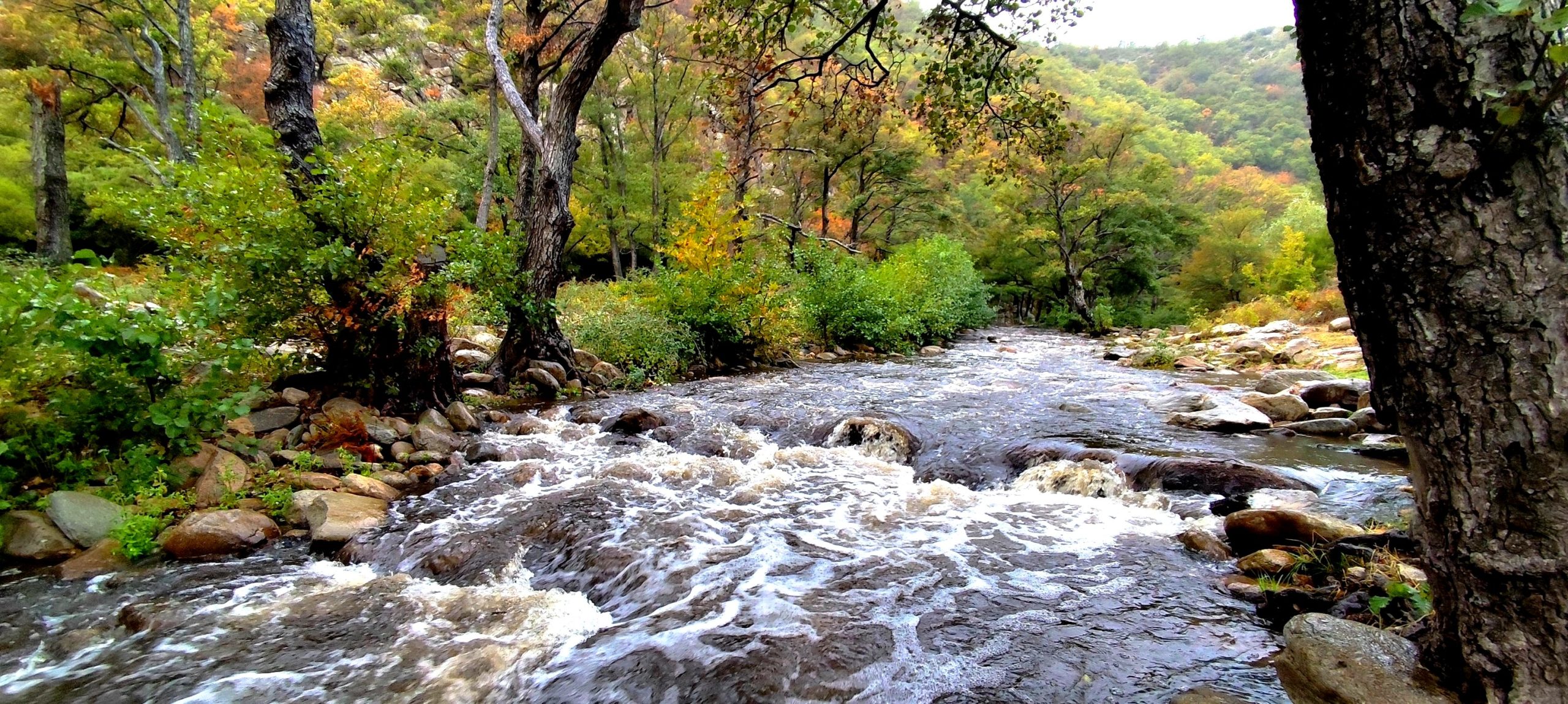 rodopi-Αpagorefsi-aliias-se-potamia-1