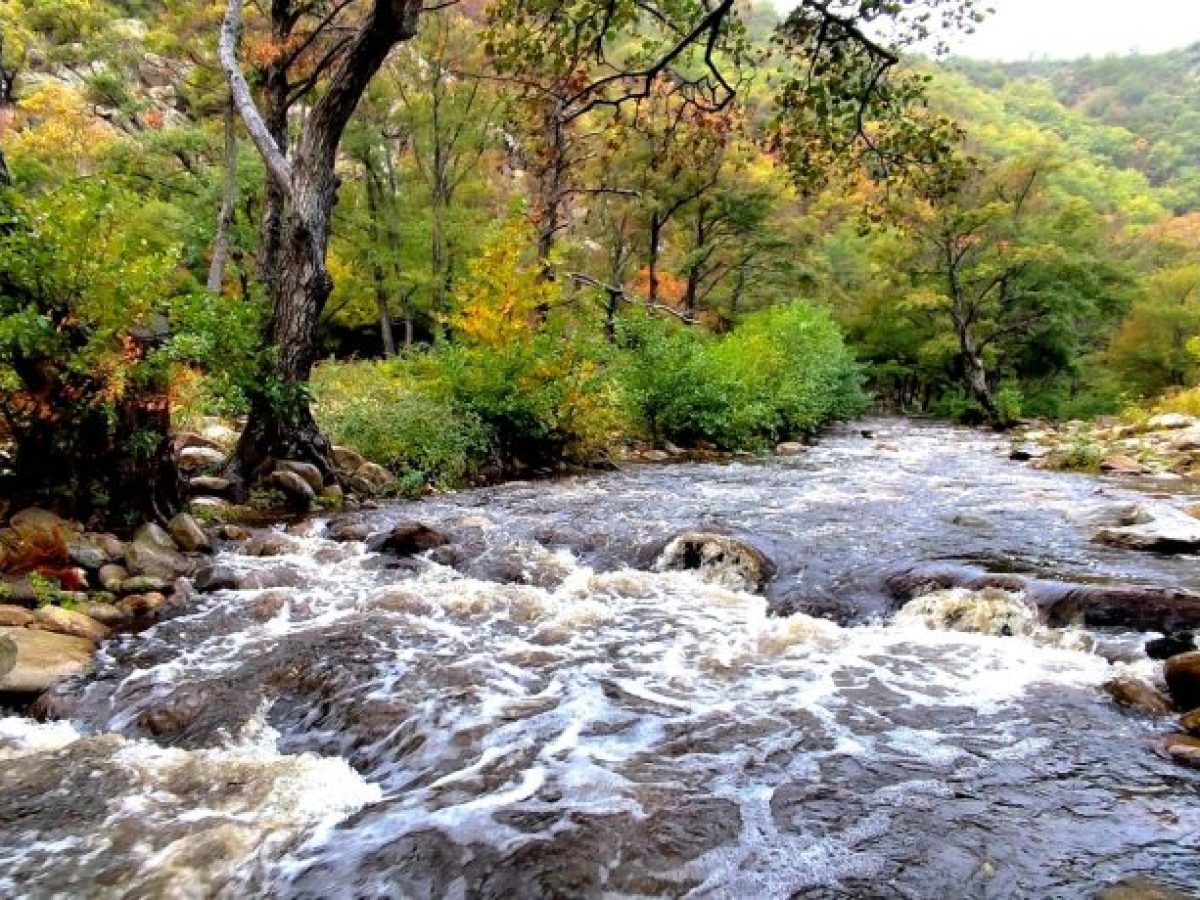 Ροδόπη: Απαγόρευση αλιείας σε ποτάμια για την προστασία της αναπαραγωγής αλιευμάτων
