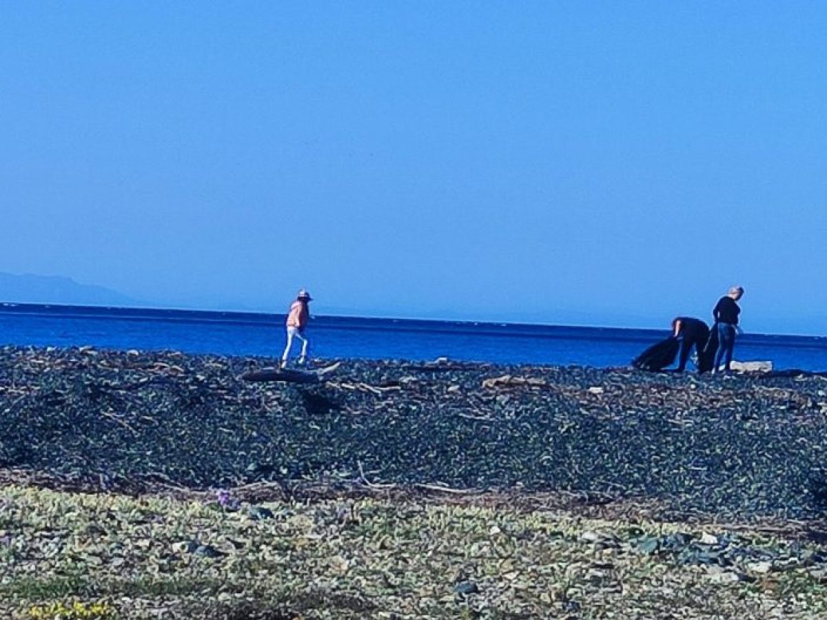 Σαμοθράκη: Εθελοντές κάθε ηλικίας καθάρισαν την παραλιακή ζώνη της Καμαριώτισσας
