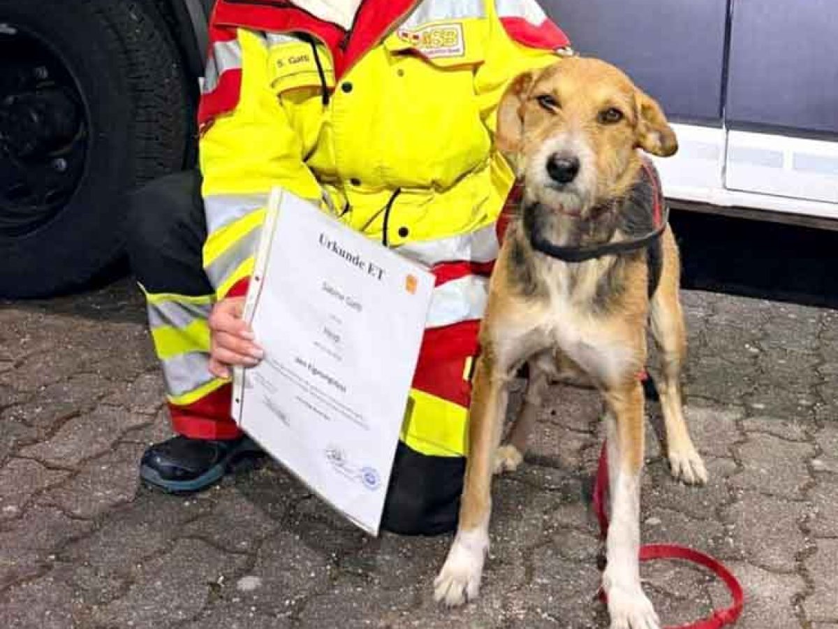 Σαμοθράκη : Η απίστευτη ιστορία της Ρόνιας που βρέθηκε μισοπεθαμένη και σήμερα σώζει ζωές!
