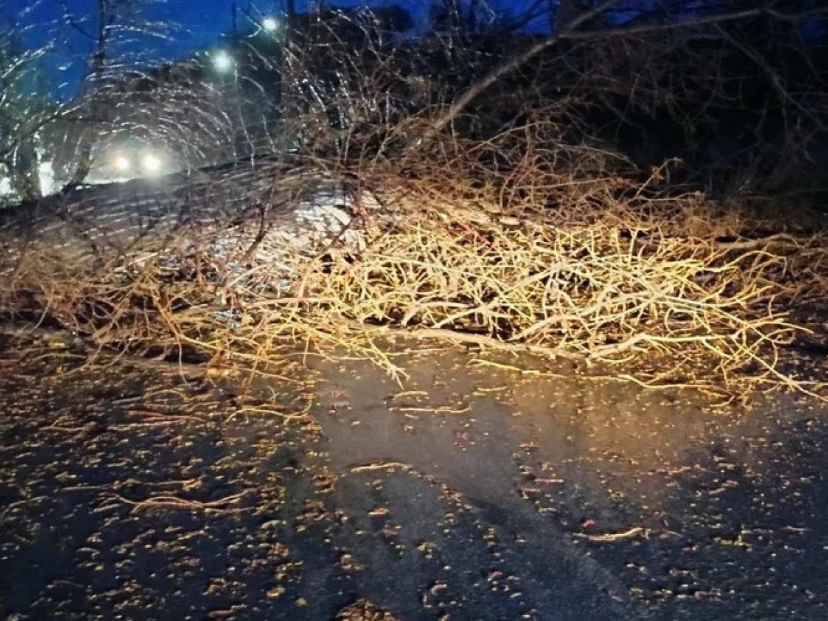 Σαμοθράκη: Απαγόρευση διέλευσης της “Πλατιάς”, επικίνδυνες πτώσεις δέντρων λόγω κακοκαιρίας