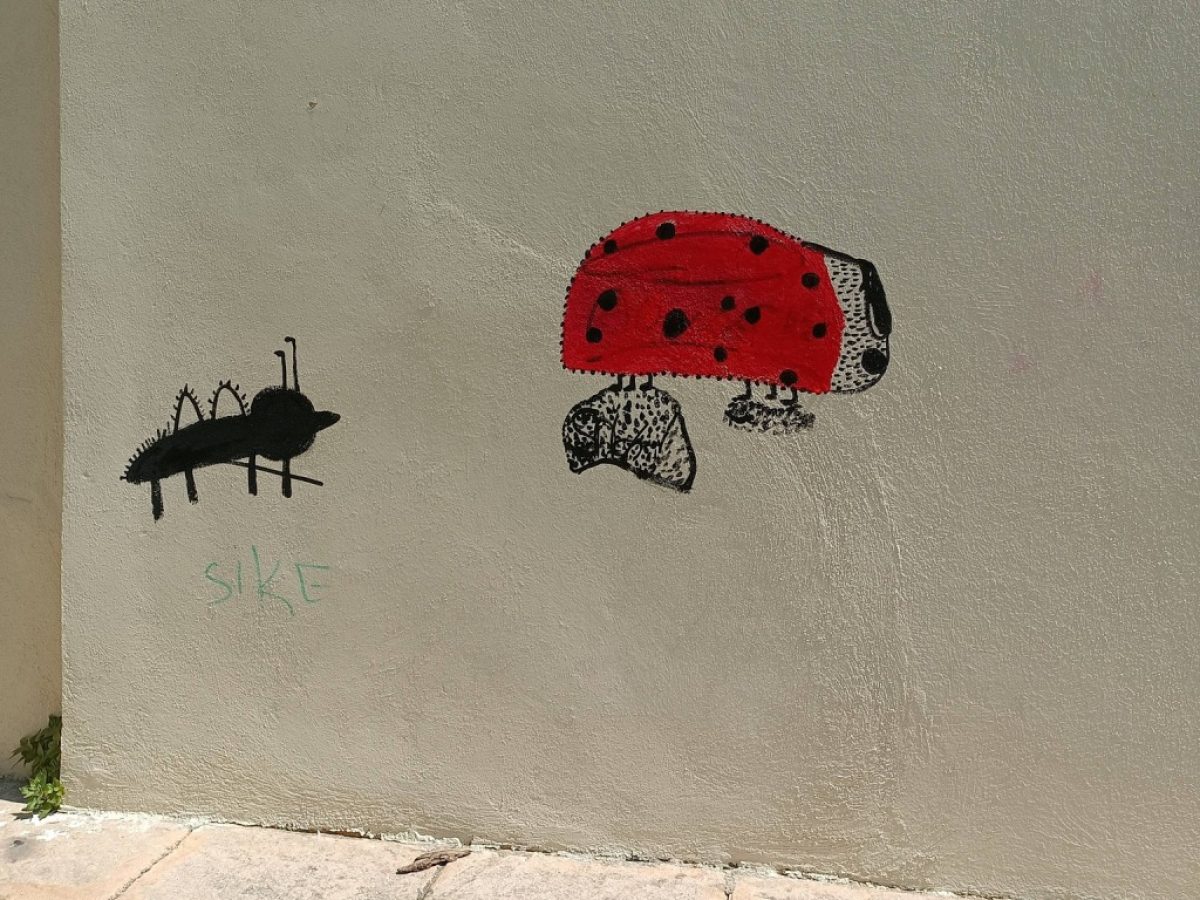 Σχολικές αυλές, τι σας εμποδίζει…., του Μιχάλη Μελαχροινούδη