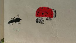 scholikes-avles-ti-sas-empodizi…