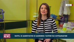 se-diavoulefsi-i-diafonies-giatron