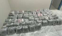 se-exelixi-erevnes-gia-diakiniti