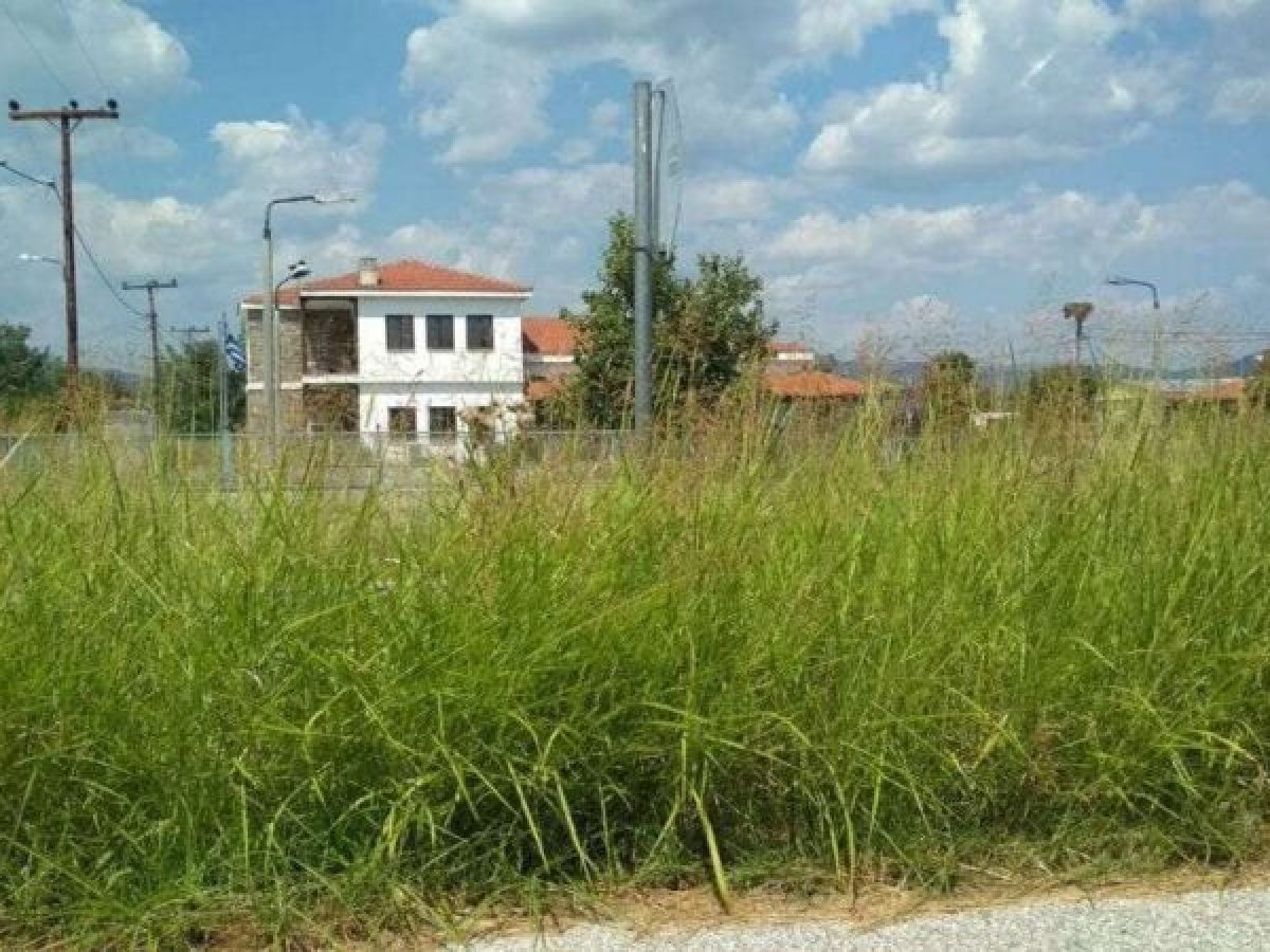 Σε εξέλιξη ο καθαρισμός οικοπέδων