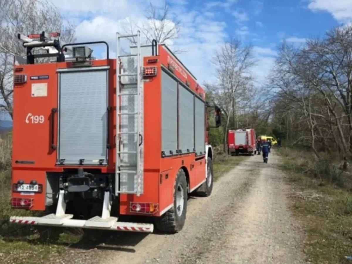 Σέρρες: Πυρκαγιά σε ποιμνιοστάσιο στη Βισαλτία – Δέκα ζώα απανθρακώθηκαν