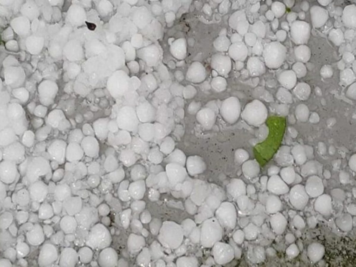 Σφοδρή χαλαζόπτωση έπληξε το Πραιτώρι Ελασσόνας – Ζημιές σε καλλιέργειες