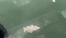 sinagermos-ke-anisichia-gia-ta