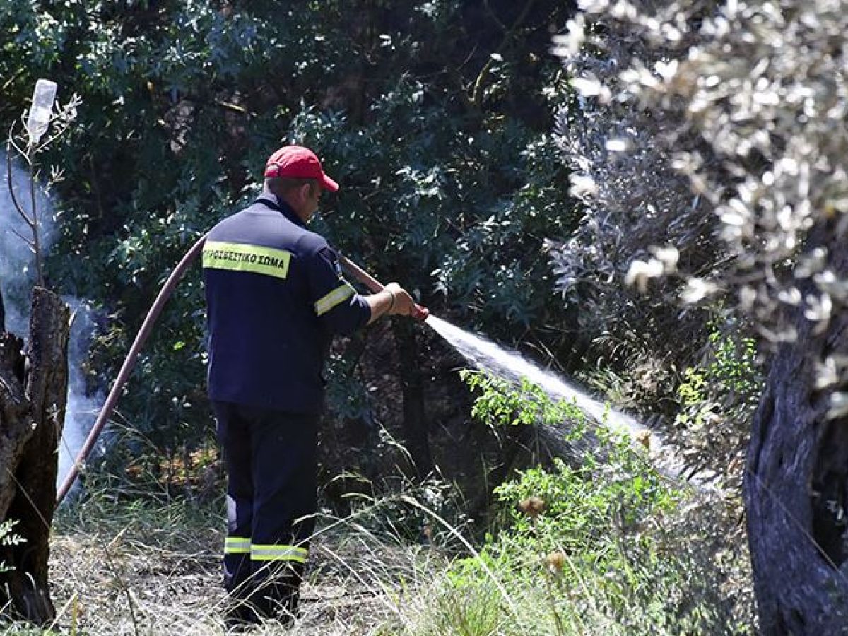 Συναγερμός στη Ραφήνα για φωτιά σε οικόπεδο με ξερά χόρτα