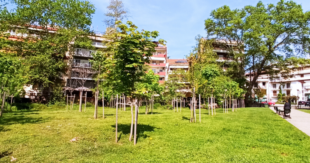 sinechizonte-i-apokatastasis-sto-parko