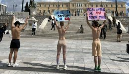 sintagma-diamartiria-vegan-aktiviston-kata